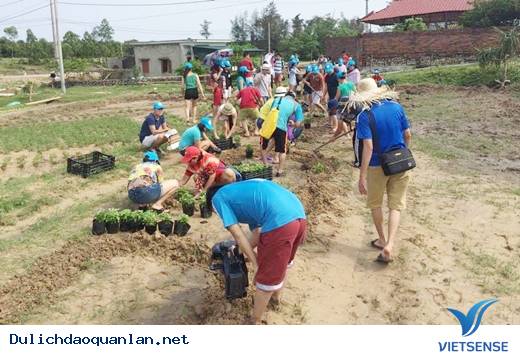 Vì Sao Du Lịch Quan Lạn Ngày Càng Phong Phú Và Hấp Dẫn - Ảnh 3