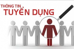 Thông Tin Tuyển Dụng Chuyên Tuyến Quan Lạn Thông Tin Tuyển Dụng Chuyên Tuyến Quan Lạn