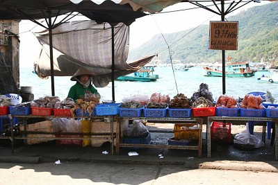 Một ngày bình thường trong tour du lịch Nam Một ngày bình thường trong tour du lịch Nam