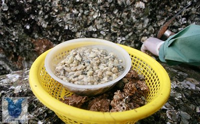 Tám món đặc sản không thể bỏ qua ở Quảng Ninh Tám món đặc sản không thể bỏ qua ở Quảng Ninh