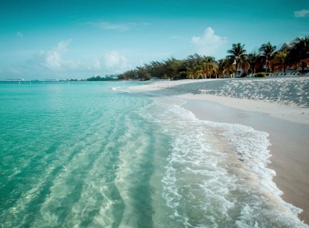 chương trình - FREE & EASY