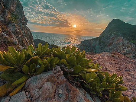 C.Trình Minh Châu Beach Resort