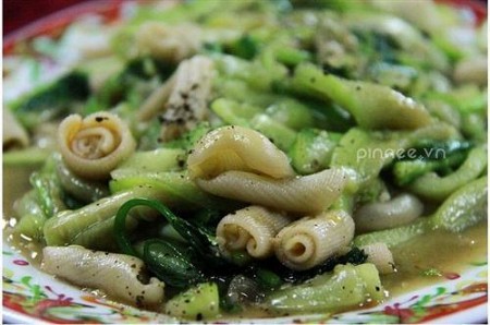 Đặc Sản Sá Sùng Quan Lạn,Dac San Sa Sung Quan Lan Đặc Sản Sá Sùng Quan Lạn,Dac San Sa Sung Quan Lan