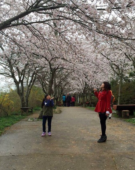 chương trình
 Hàn Quốc mùa đã bắt đầu như vậy. ..,trải nghiệm han quoc mua da bat dau nhu vay