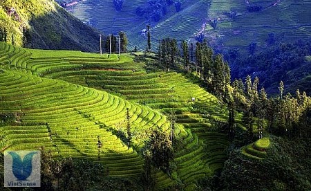 Hà Khẩu Hạ Long,ha khau ha long, hành trình Hà Khẩu Hạ Long,ha khau ha long, hành trình