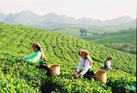 Vùng Đông Bắc Việt Nam,vung dong bac viet nam