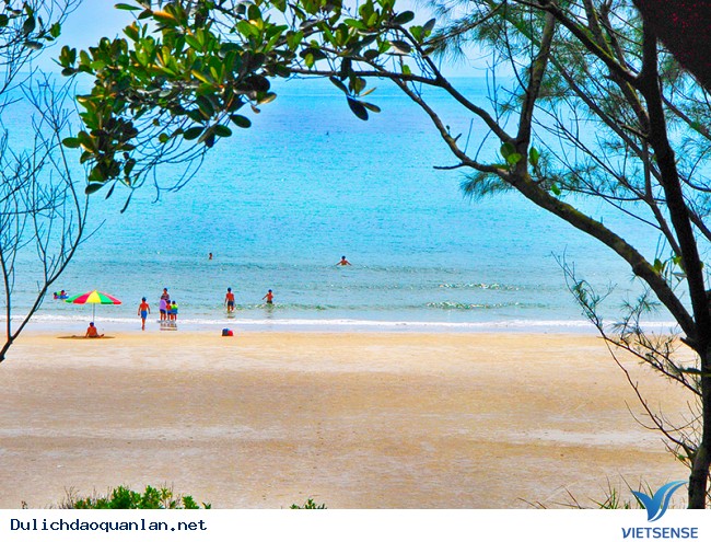 Rừng Trâm đảo Minh Châu – Vân Đồn - Ảnh 2 Rừng Trâm đảo Minh Châu – Vân Đồn - Ảnh 2