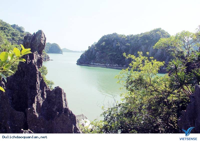 Đảo ba Mùn- Viên Ngọc Xanh Của Quan Lạn - Ảnh 2 Đảo ba Mùn- Viên Ngọc Xanh Của Quan Lạn - Ảnh 2