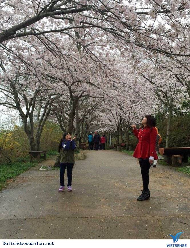 hành trình Hàn Quốc mùa đã bắt đầu như vậy. .. - Ảnh 1