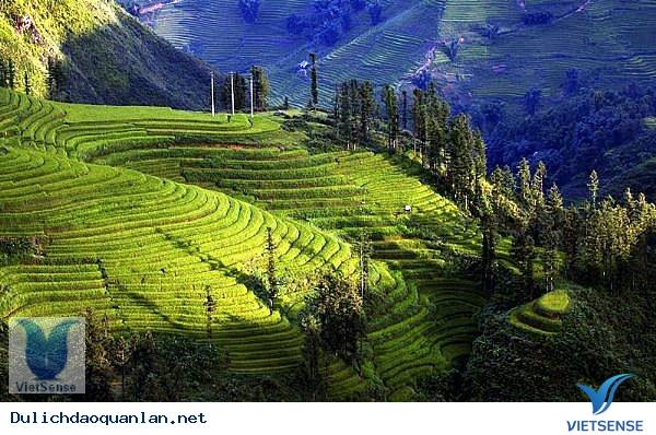 Hà Khẩu - Hạ Long Hà Khẩu - Hạ Long