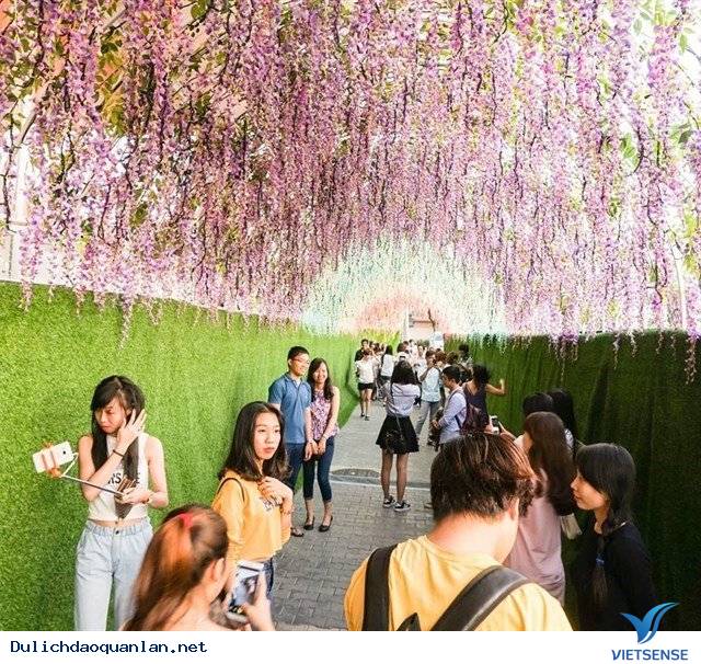 Khám phá Lễ hội xem qua Hoa ngay trung tâm Sài Gòn - Ảnh 1 Khám phá Lễ hội xem qua Hoa ngay trung tâm Sài Gòn - Ảnh 1