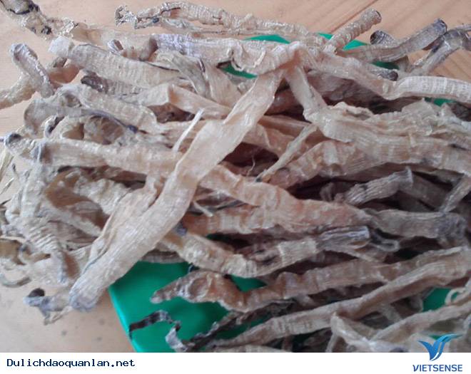 Quan Lạn có những đặc sản quý hiếm - Ảnh 2