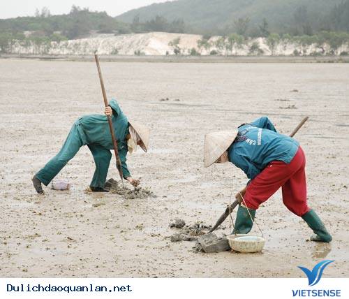 Nghề Bắt Sá Sùng Trên Đảo Quan Lạn - Ảnh 2