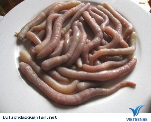 Những Đặc Sản Hấp Dẫn Trên Đảo Quan Lạn ( P1 ) - Ảnh 1