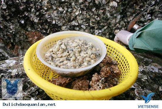 Tám món đặc sản không thể bỏ qua ở Quảng Ninh