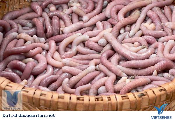 Tám món đặc sản không thể bỏ qua ở Quảng Ninh