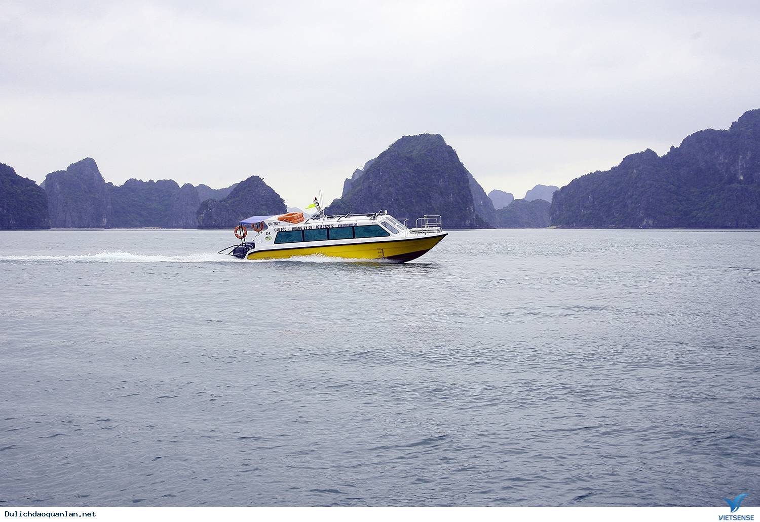 TÀU SIÊU TỐC HOÀNG VY - Ảnh 1