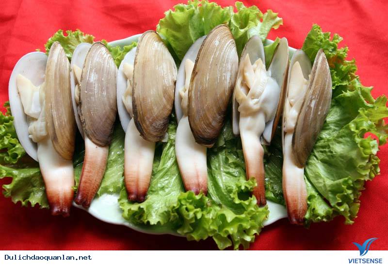 Tu Hài Vân Đồn - Ảnh 1