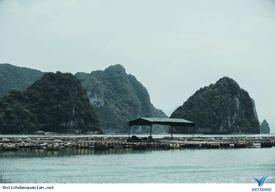 Tung Bay Tại Đảo Quan Lạn Hoang Sơ Tột Độ - Ảnh 3 Tung Bay Tại Đảo Quan Lạn Hoang Sơ Tột Độ - Ảnh 3