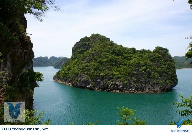 Vịnh Bái Tử Long